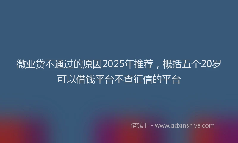 微业贷不通过的原因2025年推荐，概括五个20岁可以借钱平台不查征信的平台