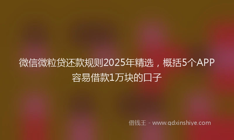 微信微粒贷还款规则2025年精选，概括5个APP容易借款1万块的口子