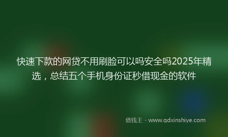 快速下款的网贷不用刷脸可以吗安全吗2025年精选，总结五个手机身份证秒借现金的软件