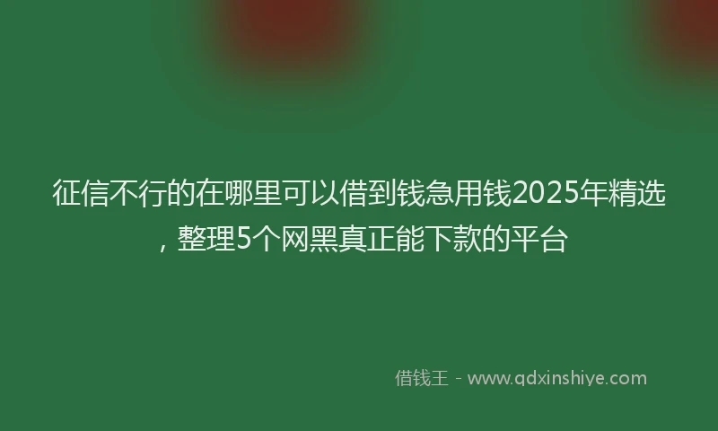 征信不行的在哪里可以借到钱急用钱2025年精选，整理5个网黑真正能下款的平台