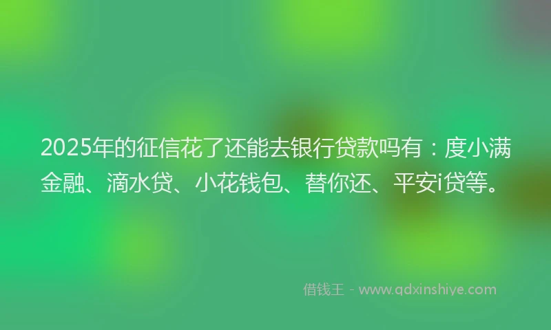 2025年的征信花了还能去银行贷款吗有：度小满金融、滴水贷、小花钱包、替你还、平安i贷等。
