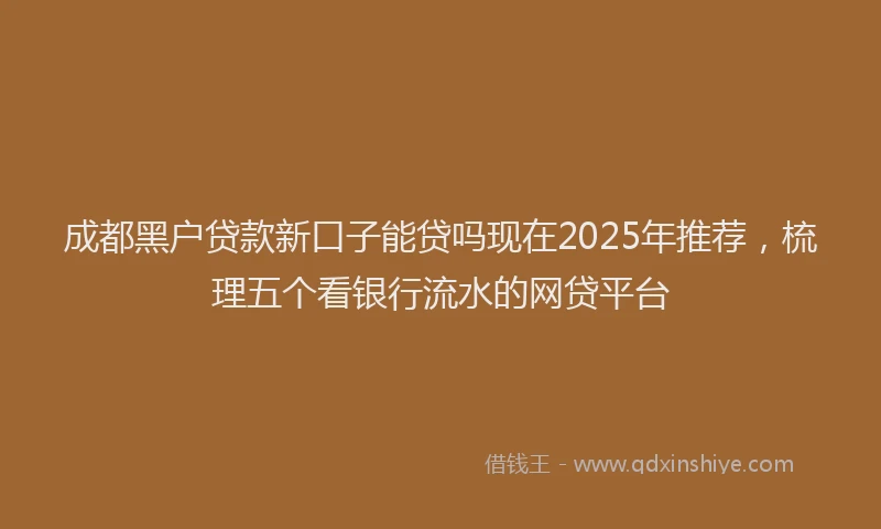 成都黑户贷款新口子能贷吗现在2025年推荐，梳理五个看银行流水的网贷平台