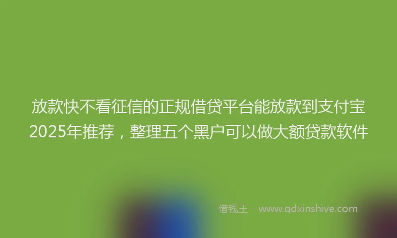 放款快不看征信的正规借贷平台能放款到支付宝2025年推荐，整理五个黑户可以做大额贷款软件