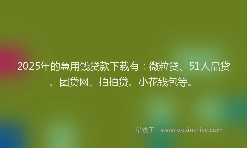 2025年的急用钱贷款下载有：微粒贷、51人品贷、团贷网、拍拍贷、小花钱包等。
