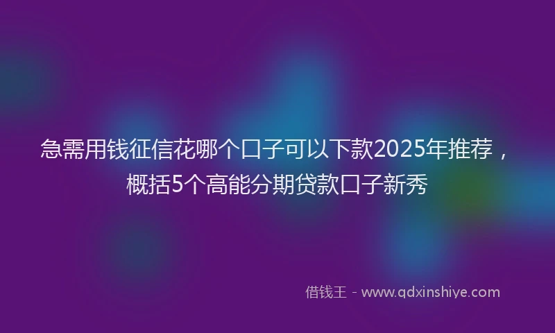 急需用钱征信花哪个口子可以下款2025年推荐，概括5个高能分期贷款口子新秀