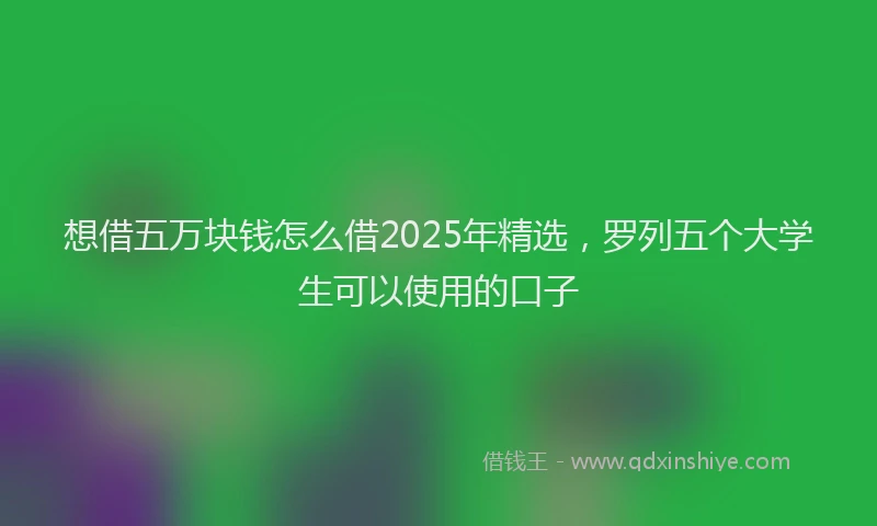 想借五万块钱怎么借2025年精选，罗列五个大学生可以使用的口子