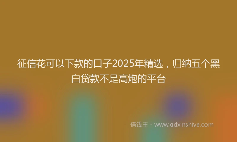 征信花可以下款的口子2025年精选，归纳五个黑白贷款不是高炮的平台