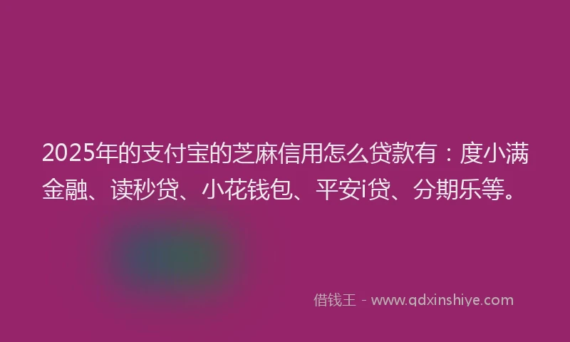 2025年的支付宝的芝麻信用怎么贷款有：度小满金融、读秒贷、小花钱包、平安i贷、分期乐等。