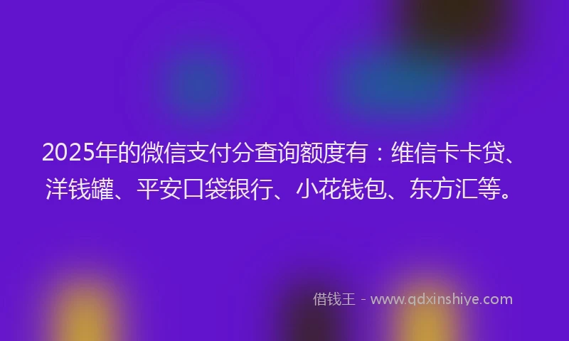 2025年的微信支付分查询额度有：维信卡卡贷、洋钱罐、平安口袋银行、小花钱包、东方汇等。