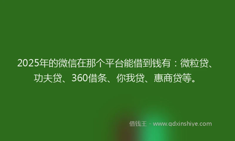 2025年的微信在那个平台能借到钱有：微粒贷、功夫贷、360借条、你我贷、惠商贷等。