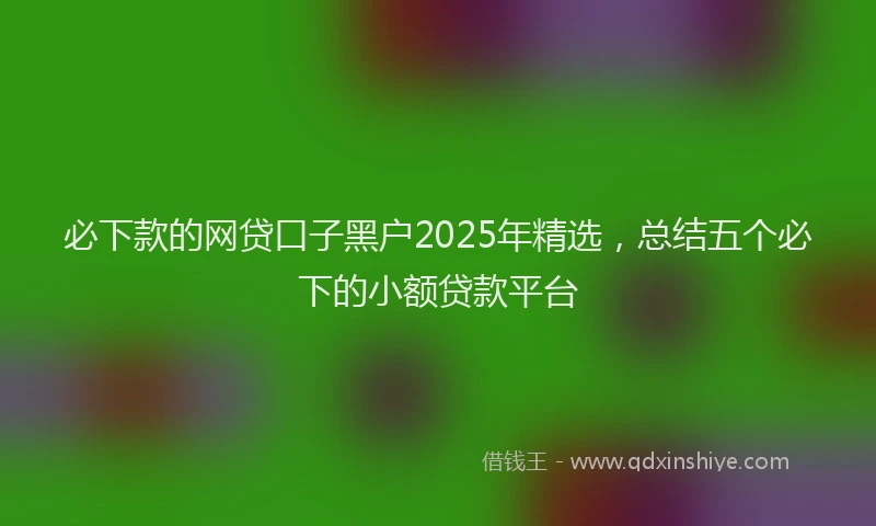 必下款的网贷口子黑户2025年精选，总结五个必下的小额贷款平台
