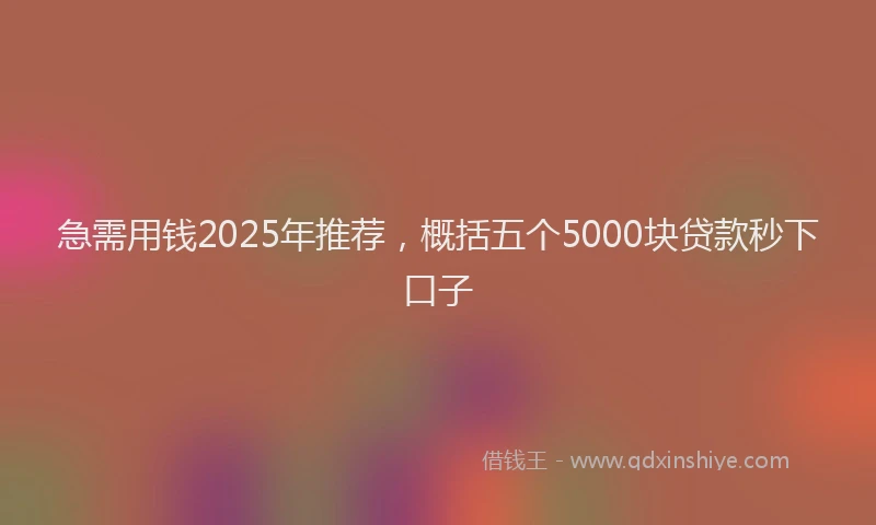 急需用钱2025年推荐，概括五个5000块贷款秒下口子