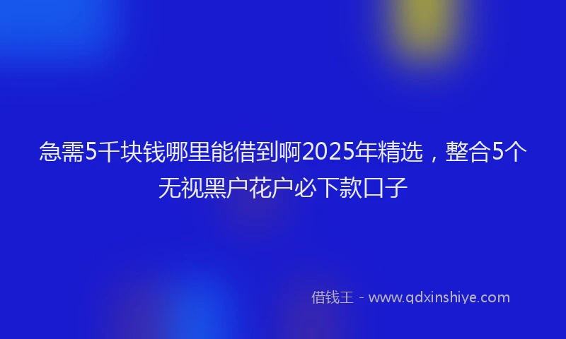 急需5千块钱哪里能借到啊2025年精选，整合5个无视黑户花户必下款口子