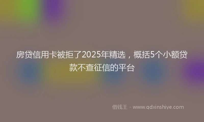 房贷信用卡被拒了2025年精选，概括5个小额贷款不查征信的平台