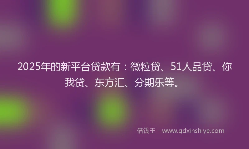 2025年的新平台贷款有：微粒贷、51人品贷、你我贷、东方汇、分期乐等。