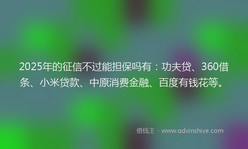 2025年的征信不过能担保吗有：功夫贷、360借条、小米贷款、中原消费金融、百度有钱花等。