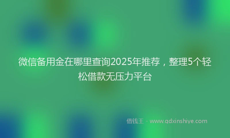 微信备用金在哪里查询2025年推荐，整理5个轻松借款无压力平台