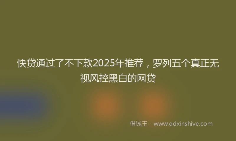 快贷通过了不下款2025年推荐，罗列五个真正无视风控黑白的网贷