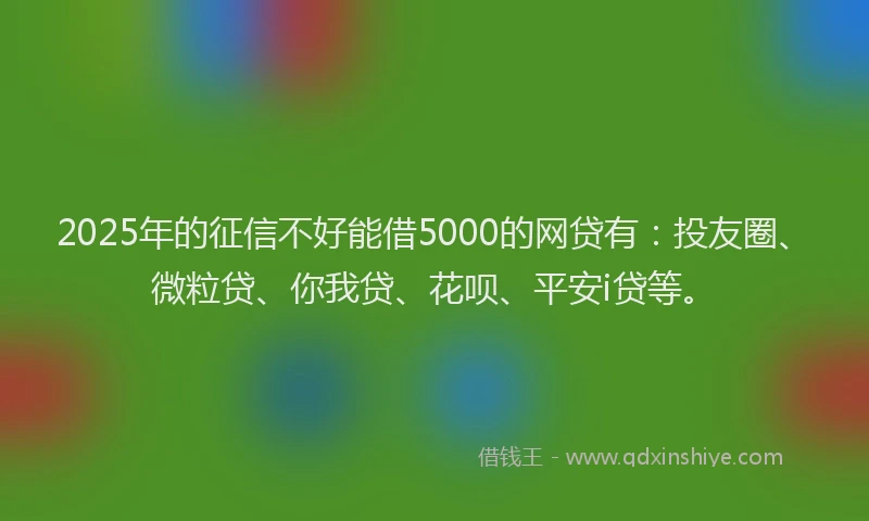 2025年的征信不好能借5000的网贷有：投友圈、微粒贷、你我贷、花呗、平安i贷等。