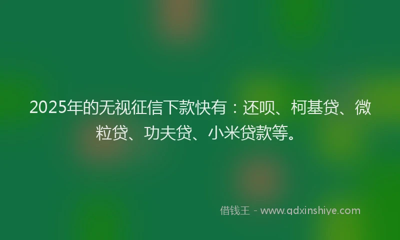 2025年的无视征信下款快有：还呗、柯基贷、微粒贷、功夫贷、小米贷款等。