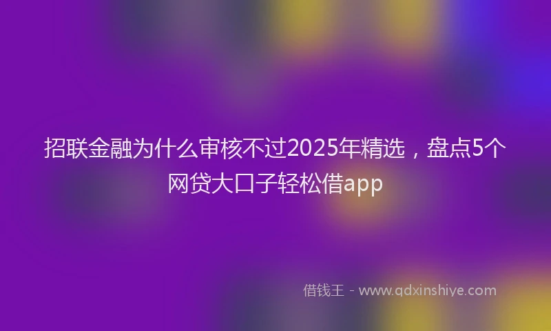 招联金融为什么审核不过2025年精选，盘点5个网贷大口子轻松借app