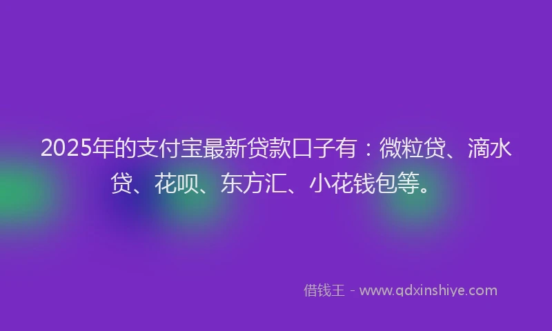 2025年的支付宝最新贷款口子有：微粒贷、滴水贷、花呗、东方汇、小花钱包等。
