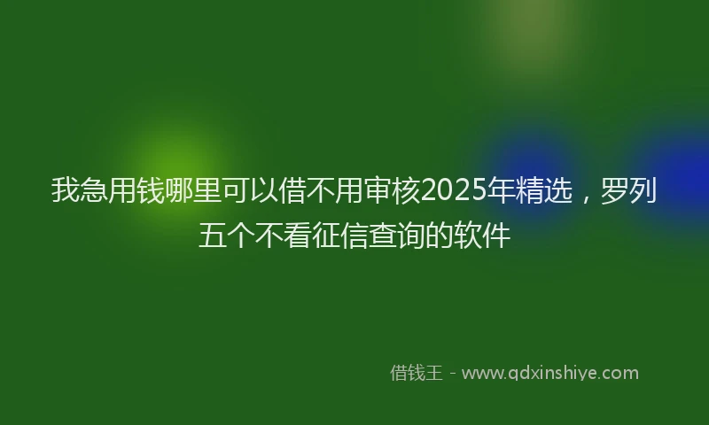 我急用钱哪里可以借不用审核2025年精选，罗列五个不看征信查询的软件