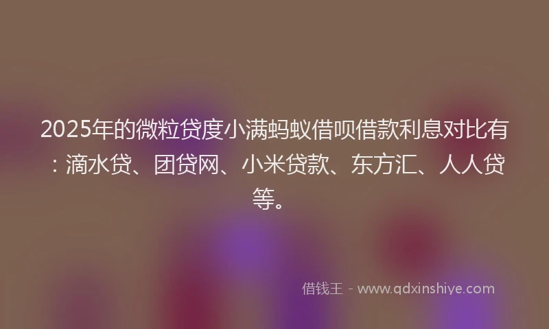 2025年的微粒贷度小满蚂蚁借呗借款利息对比有：滴水贷、团贷网、小米贷款、东方汇、人人贷等。