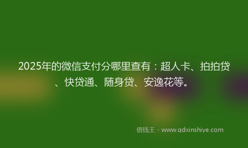 2025年的微信支付分哪里查有：超人卡、拍拍贷、快贷通、随身贷、安逸花等。