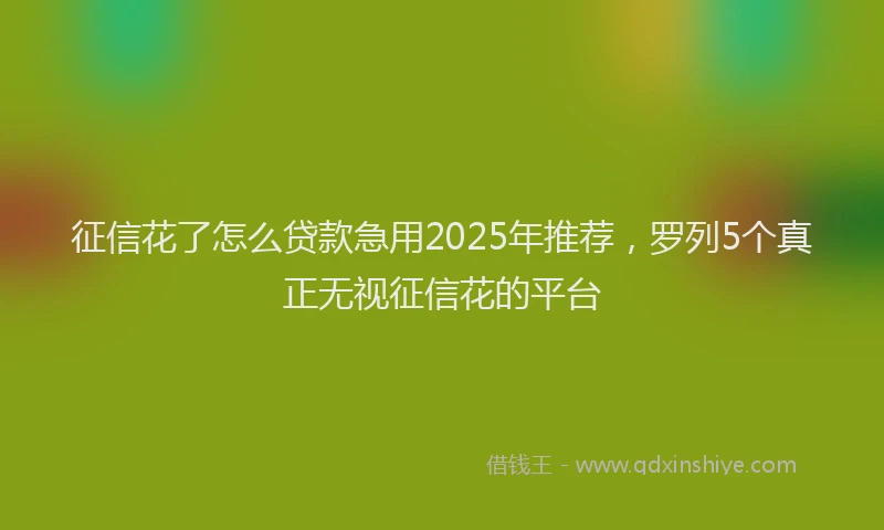 征信花了怎么贷款急用2025年推荐，罗列5个真正无视征信花的平台