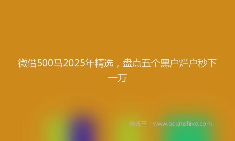 微借500马2025年精选，盘点五个黑户烂户秒下一万