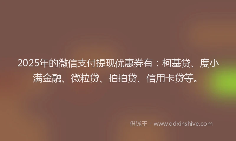 2025年的微信支付提现优惠券有：柯基贷、度小满金融、微粒贷、拍拍贷、信用卡贷等。