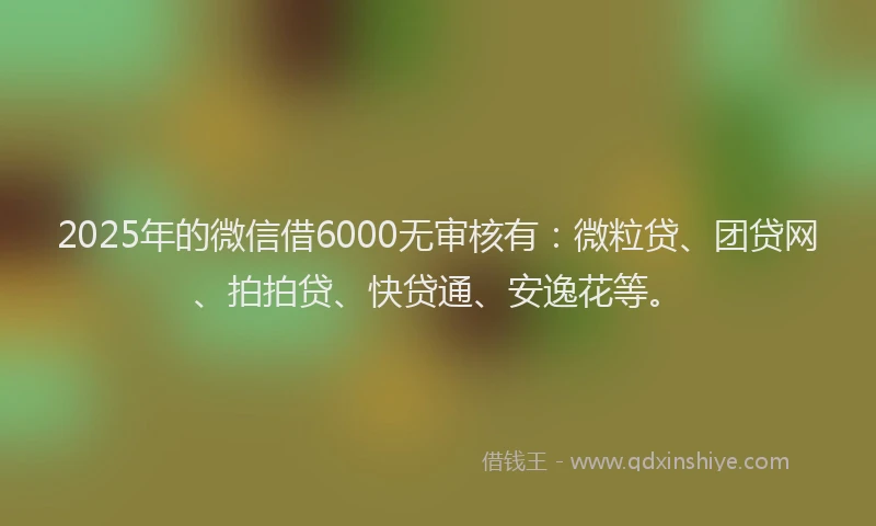 2025年的微信借6000无审核有：微粒贷、团贷网、拍拍贷、快贷通、安逸花等。