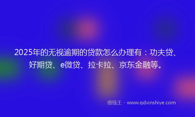 2025年的无视逾期的贷款怎么办理有：功夫贷、好期贷、e微贷、拉卡拉、京东金融等。