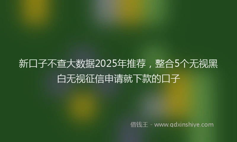 新口子不查大数据2025年推荐，整合5个无视黑白无视征信申请就下款的口子