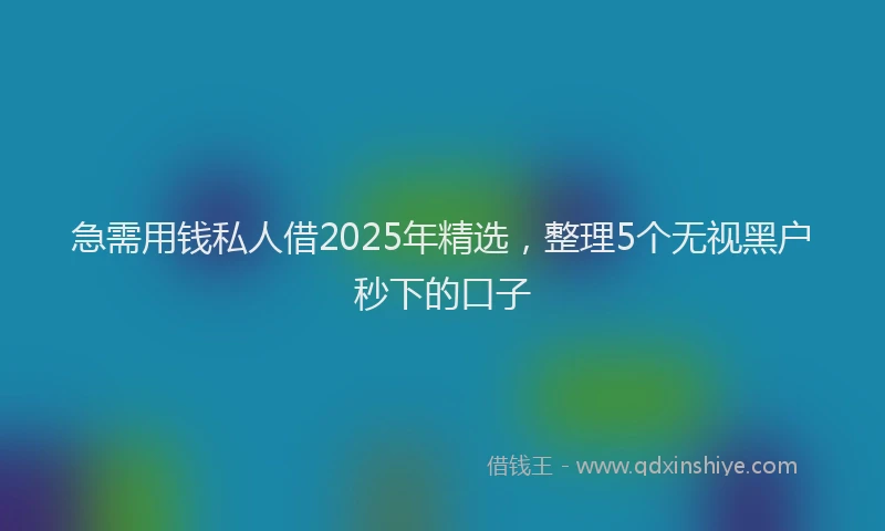 急需用钱私人借2025年精选，整理5个无视黑户秒下的口子