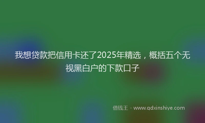 我想贷款把信用卡还了2025年精选，概括五个无视黑白户的下款口子