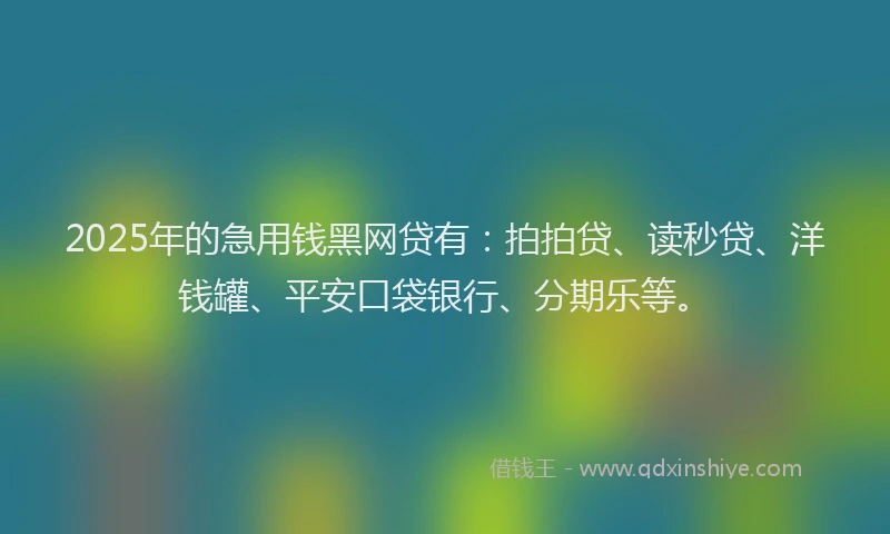 2025年的急用钱黑网贷有：拍拍贷、读秒贷、洋钱罐、平安口袋银行、分期乐等。