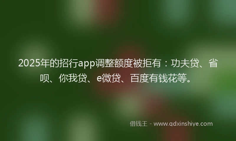 2025年的招行app调整额度被拒有：功夫贷、省呗、你我贷、e微贷、百度有钱花等。