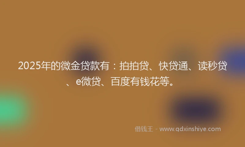 2025年的微金贷款有：拍拍贷、快贷通、读秒贷、e微贷、百度有钱花等。