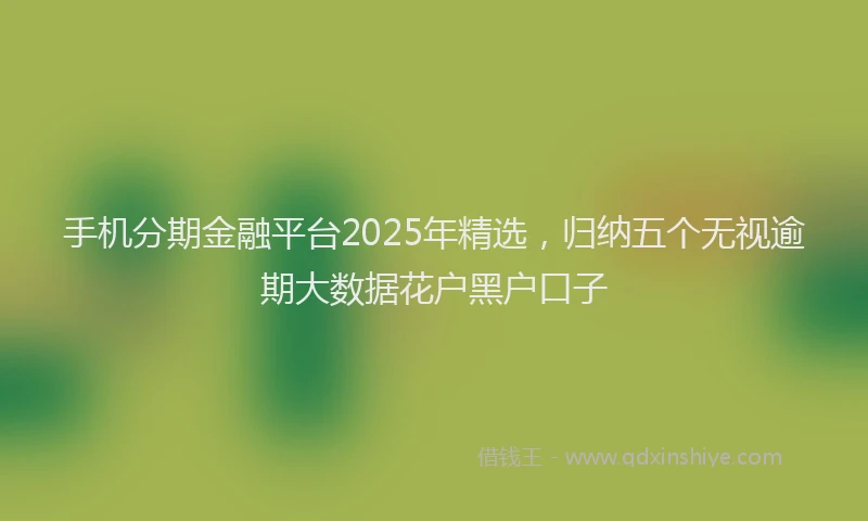 手机分期金融平台2025年精选，归纳五个无视逾期大数据花户黑户口子