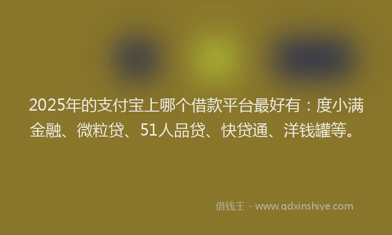2025年的支付宝上哪个借款平台最好有：度小满金融、微粒贷、51人品贷、快贷通、洋钱罐等。