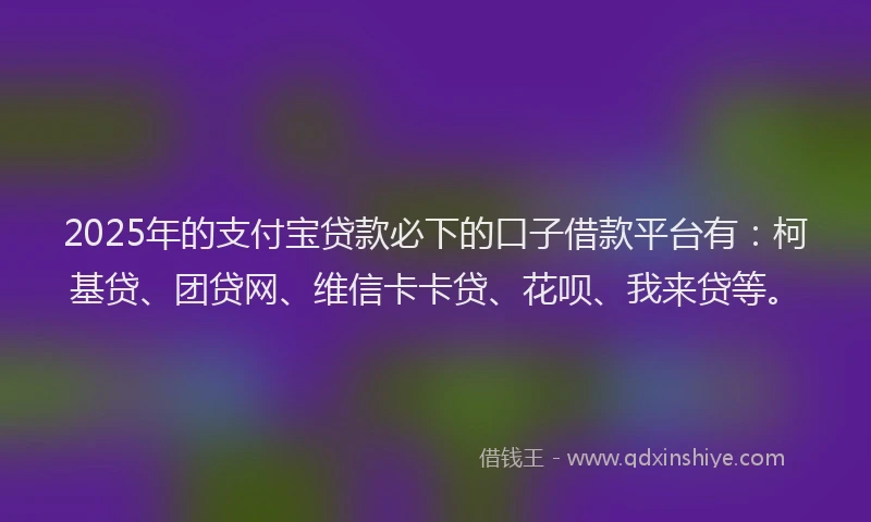 2025年的支付宝贷款必下的口子借款平台有：柯基贷、团贷网、维信卡卡贷、花呗、我来贷等。