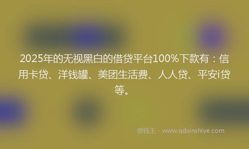 2025年的无视黑白的借贷平台100%下款有：信用卡贷、洋钱罐、美团生活费、人人贷、平安i贷等。