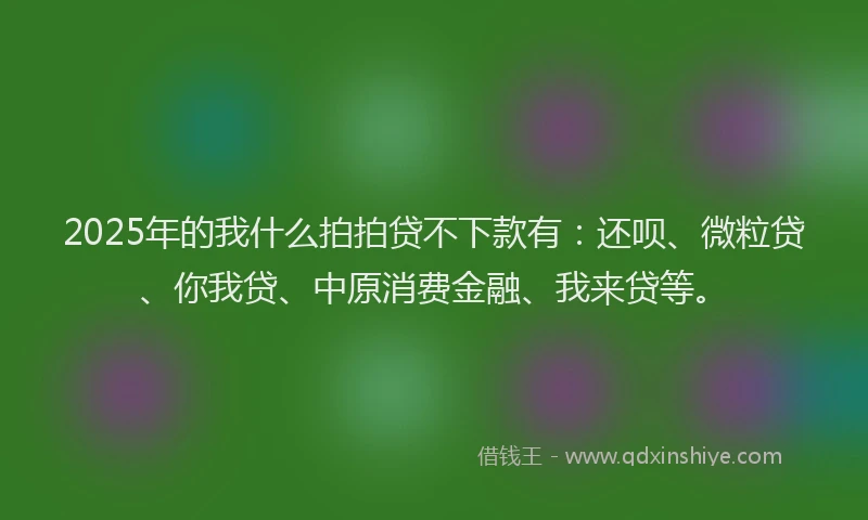 2025年的我什么拍拍贷不下款有：还呗、微粒贷、你我贷、中原消费金融、我来贷等。