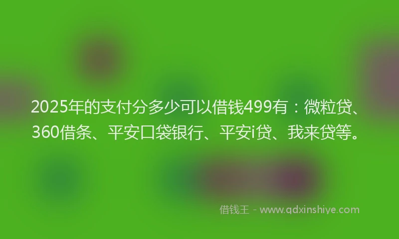 2025年的支付分多少可以借钱499有：微粒贷、360借条、平安口袋银行、平安i贷、我来贷等。