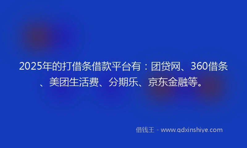2025年的打借条借款平台有：团贷网、360借条、美团生活费、分期乐、京东金融等。