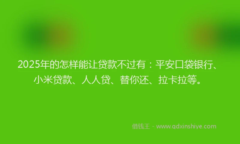 2025年的怎样能让贷款不过有：平安口袋银行、小米贷款、人人贷、替你还、拉卡拉等。