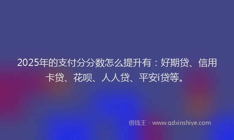 2025年的支付分分数怎么提升有：好期贷、信用卡贷、花呗、人人贷、平安i贷等。