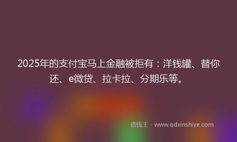 2025年的支付宝马上金融被拒有：洋钱罐、替你还、e微贷、拉卡拉、分期乐等。